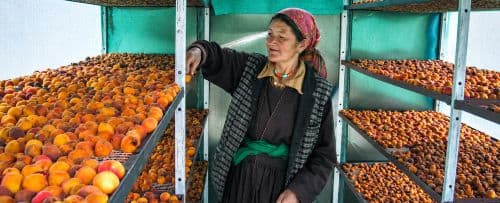 Livelihood intiatives