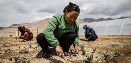 Organic Farming